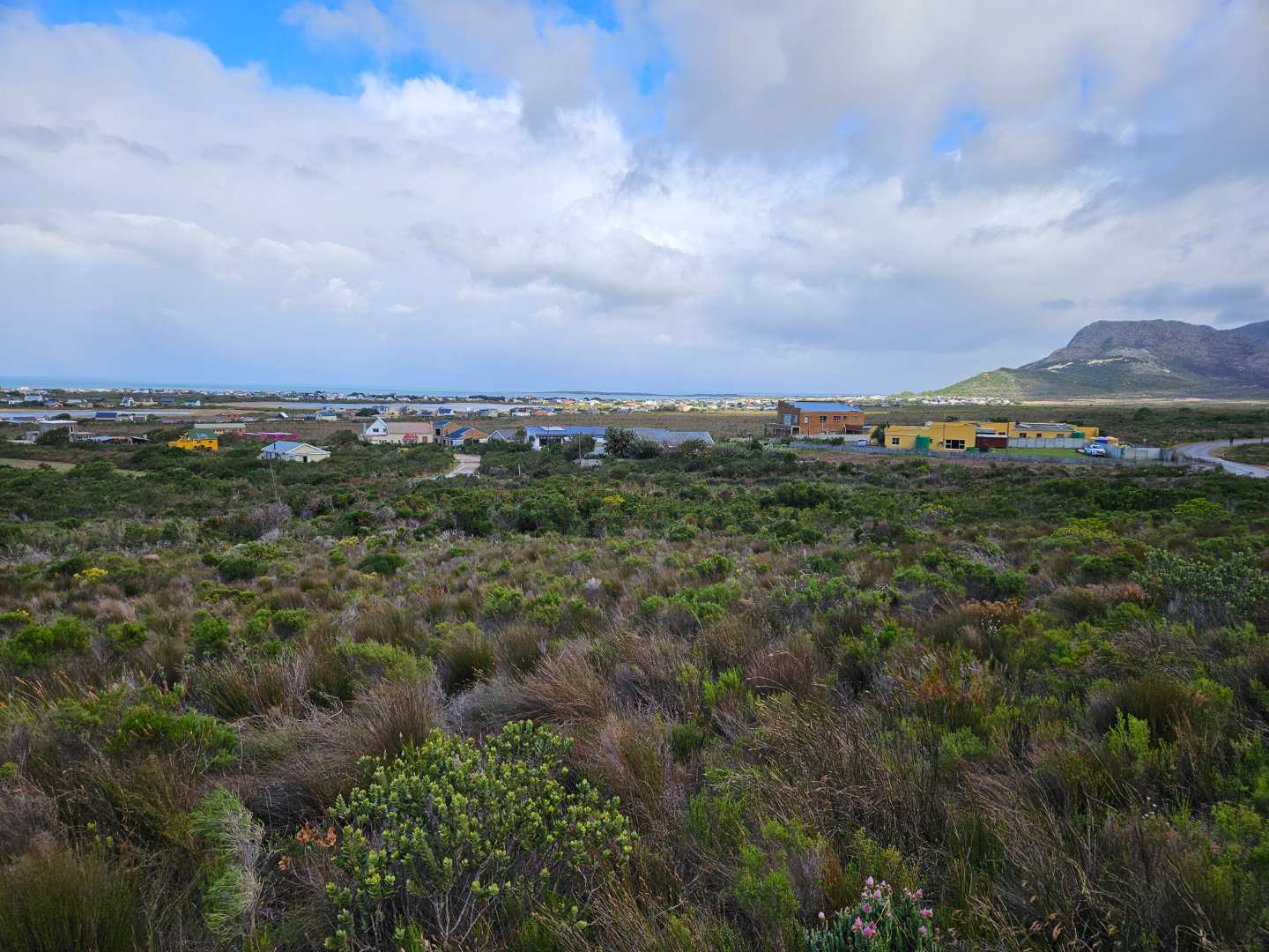 0 Bedroom Property for Sale in Bettys Bay Western Cape